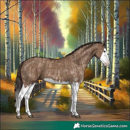 Horse Color:Liver Red Dun Splash and Liver Red Dun Splash