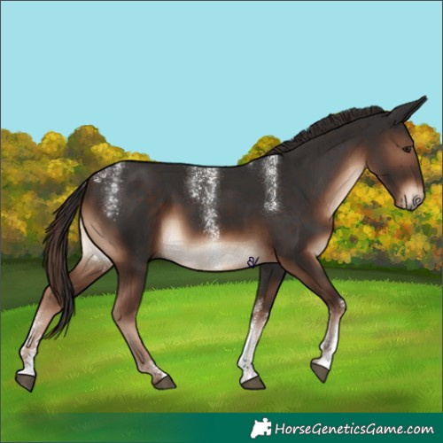 Horse Color:Powder White Liver Chestnut 