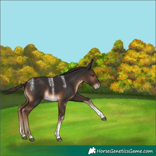 Horse Color:Powder White Liver Chestnut 