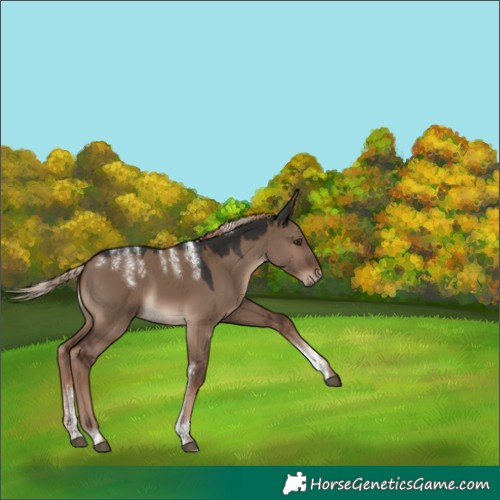 Horse Color:Powder White Liver Red Dun 