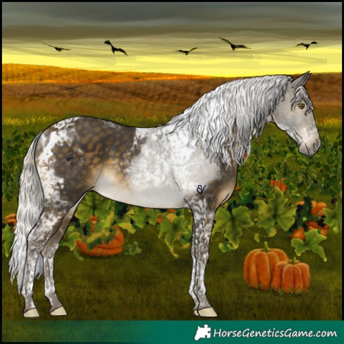 Horse Color:Silver Buckskin Tobiano 