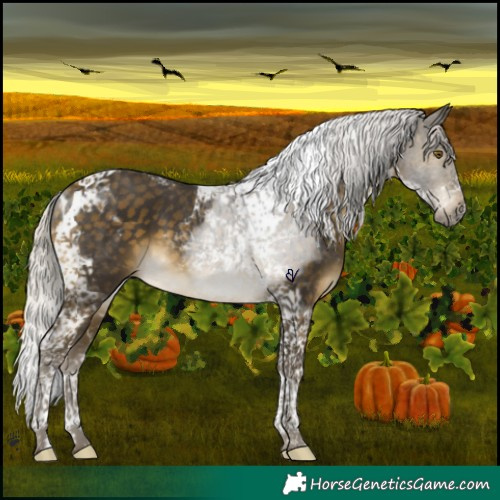 Horse Color:Silver Buckskin Tobiano 