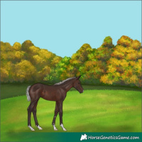 Horse Color:Silver Brown