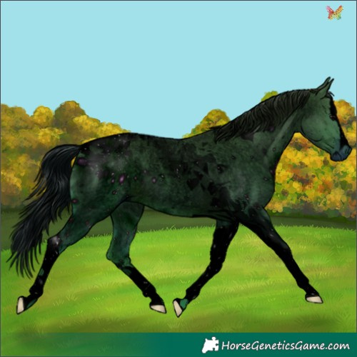 Horse Color:ERROR: UNKNOWN ANOMALY