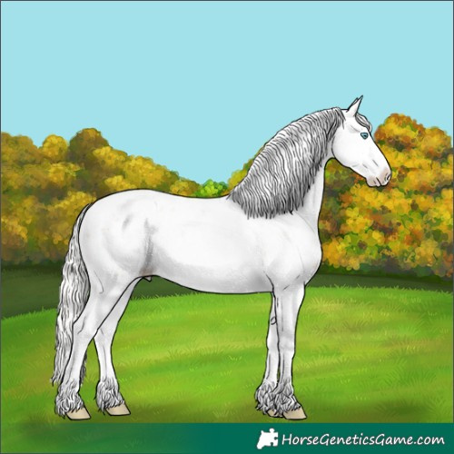 Horse Color:Silver Sable Champagne Dun Sabino Splash 
