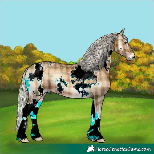 Horse Color:Plaid  White Spotted Silver Bay Onyx 