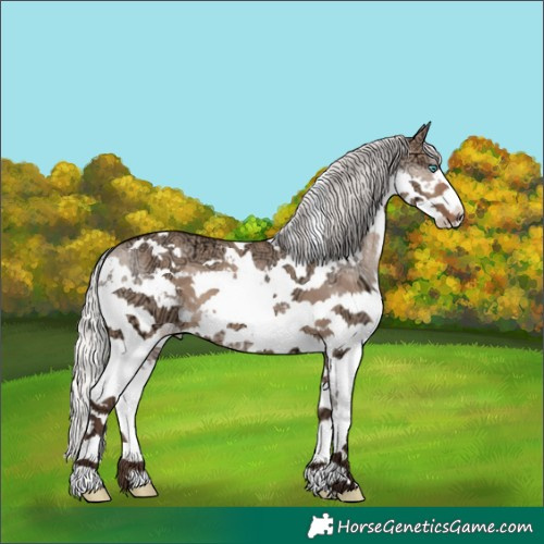 Horse Color:White Spotted Silver Brown Ice Dun Splash 