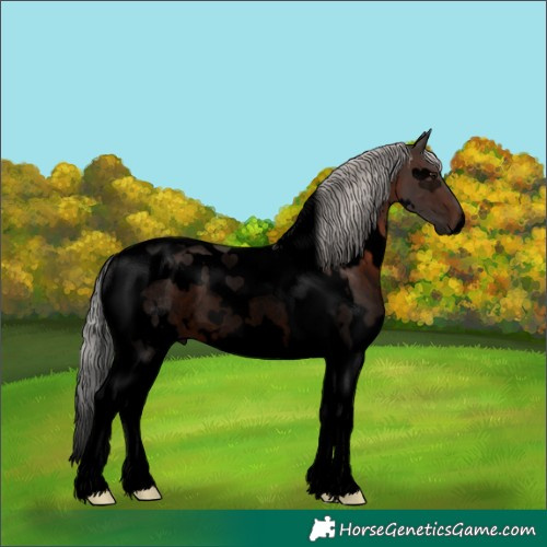 Horse Color:Void White Spotted Silver Brown Tobiano 