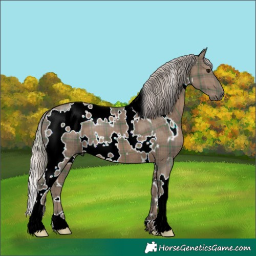 Horse Color:Plaid  White Spotted Silver Black 