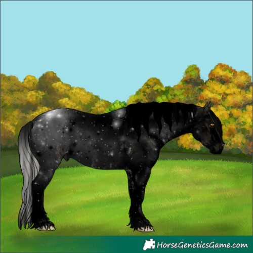 Horse Color:Void White Spotted Silver Brown Pearl Dun Sabino 