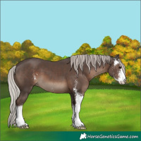 Horse Color:Silver Black Sabino 