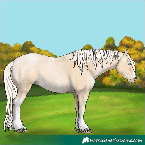 Horse Color:Silver Smoky Black Ice Pearl Sabino 
