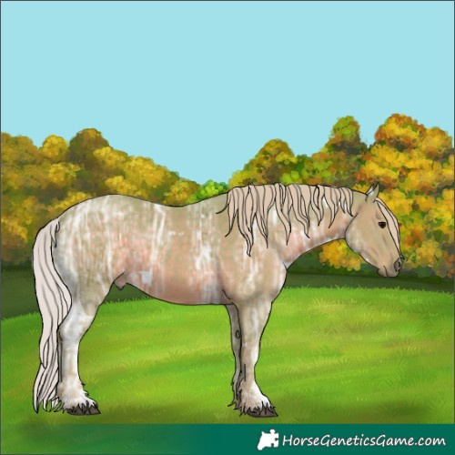Horse Color:Watercolor White Spotted Silver Black Ice Sabino 
