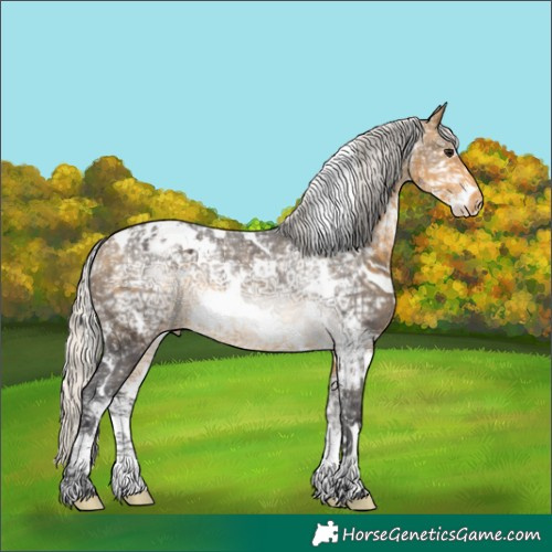 Horse Color:White Spotted Silver Buckskin Ice Sabino Varnish 