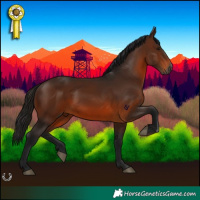 Horse Color:Gray Bay 