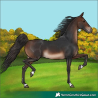 Horse Color:Brown 