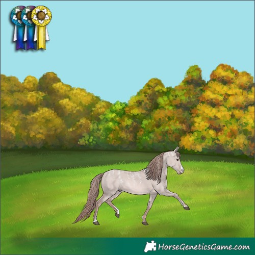 Horse Color:Powder White Platinum Red Dun 