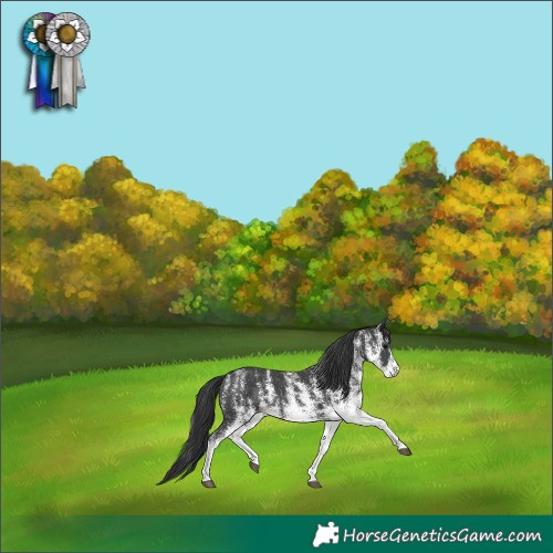 Horse Color:Platinum White Spotted Black 