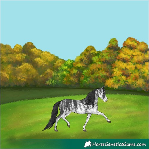 Horse Color:Platinum White Spotted Black 