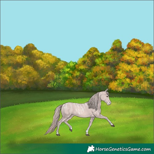 Horse Color:Powder White Platinum Chestnut 