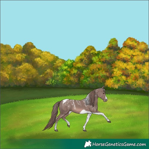 Horse Color:Powder White Platinum Chestnut Tobiano 