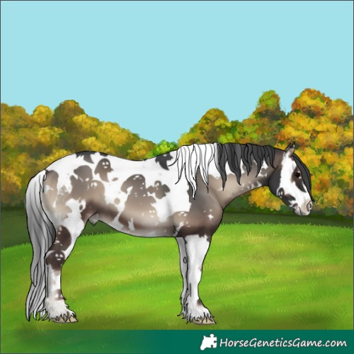 Horse Color:White Spotted Blue Onyx Splash Tobiano 