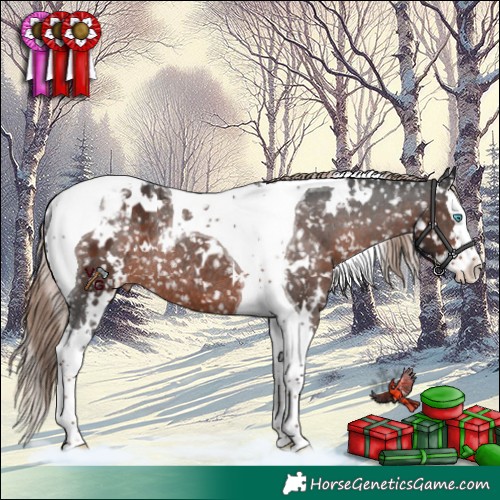 Horse Color:White Spotted Liver Chestnut Splash Tobiano Appaloosa Rabicano 