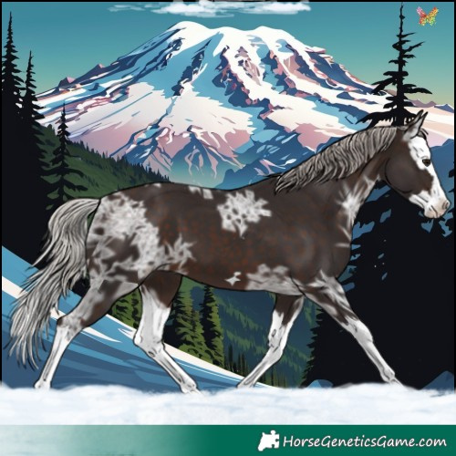 Horse Color:Silver Brown Ice Splash 