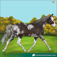 Horse Color:Silver Brown Ice Splash 