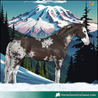 Horse Color:Silver Brown Ice Splash 
