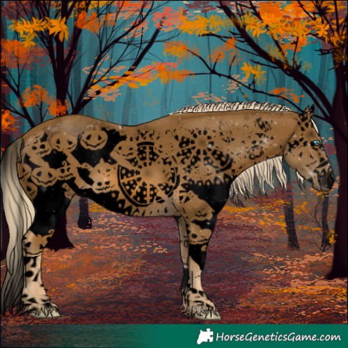 Horse Color:Void White Spotted Chocolate Palomino Splash 