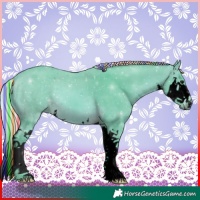 Horse Color:Void Painted Watercolor White Spotted Silver Bay Splash 