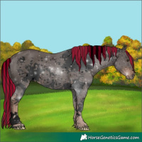 Horse Color:Void Painted White Spotted Liver Chestnut Splash Frame