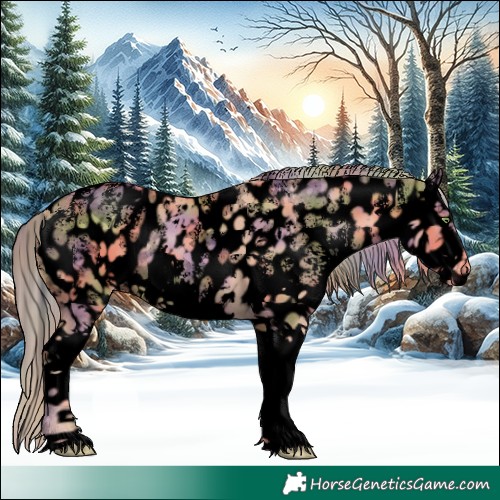 Horse Color:Void Nacre Gold Champagne Sabino Splash Appaloosa 