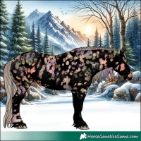 Horse Color:Void Nacre Gold Champagne Sabino Splash Appaloosa