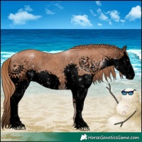 Horse Color:Void White Spotted Chestnut Splash