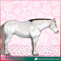 Horse Color:White Spotted Liver Red Dun Roan Splash