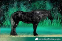Horse Color:Void Watercolor White Spotted Bay Roan Splash Near Leopard 