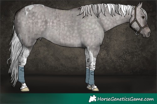 Horse Color:Platinum Silver Brown Dun Tobiano Brindle 