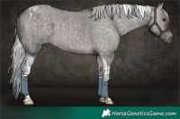 Horse Color:Platinum Silver Brown Dun Tobiano Brindle