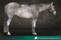 Horse Color:Platinum Brown Dun Tobiano Brindle