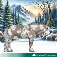 Horse Color:Silver Grullo Ice Sabino 