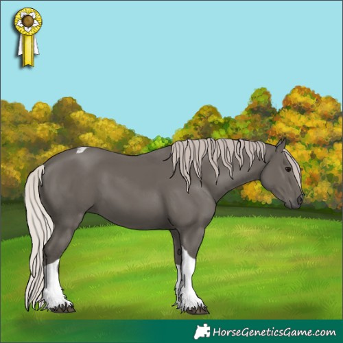 Horse Color:Silver Black Sabino Tobiano 