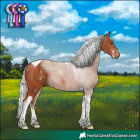 Horse Color:Powder White Silver Bay Tobiano 