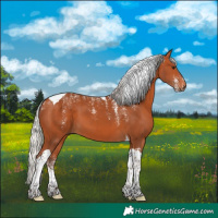 Horse Color:Powder White Silver Bay Tobiano 