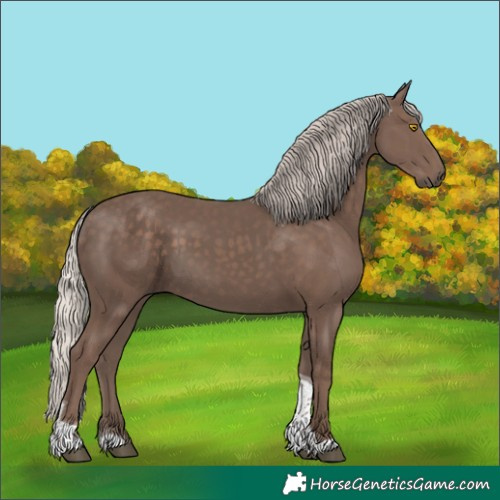 Horse Color:Silver Black Tobiano 