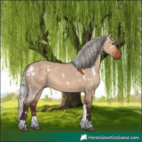 Horse Color:White Spotted Silver Brown Dun Tobiano 