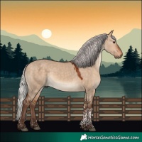 Horse Color:Silver Bay Dun Tobiano Rabicano 