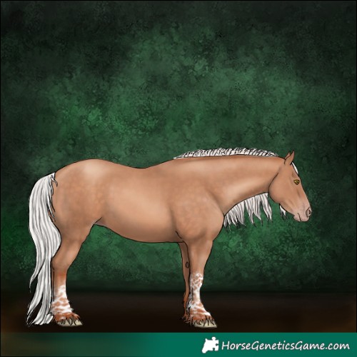 Horse Color:Silver Sable Champagne Tobiano 