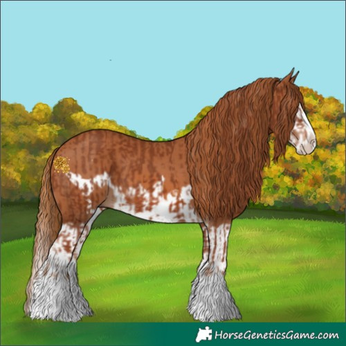 Horse Color:Chestnut Splash Frame  and Chestnut Splash Frame 